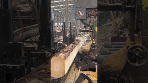 Wood Log Processing  Is so Satisfying????????????????#satisfying