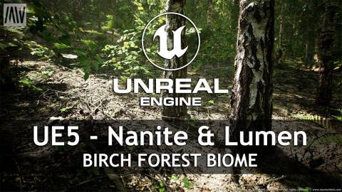 MAWI Birch Forest Biome | Unreal Engine 5 with Nanite & Lumen