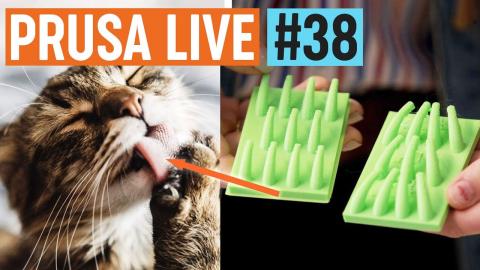 Biology prints with Andrew Mountcastle, new merch reveal, PrusaPrinters 100k models - PRUSA LIVE #38