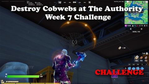 Destroy Cobwebs at The Authority - Week 7 Challenge