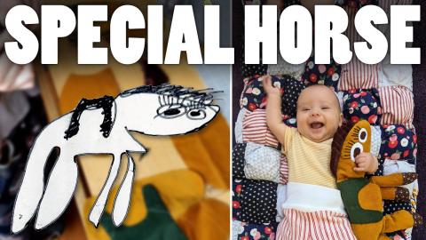 A Very Special Horse #shorts