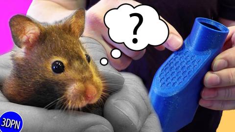 Does My Hamster Care About 3D Printing?