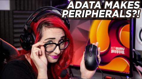 Are Adata peripherals any good? XPG Precog & Primer Review