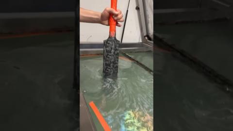 Water Base Printing Technique?????????#satisfying #shortvideo #shorts