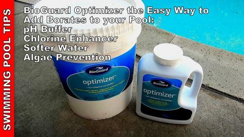 BioGuard Optimizer, The Easy Way to Add Borates to Your Pool: Buffers pH and Prevents Algae!