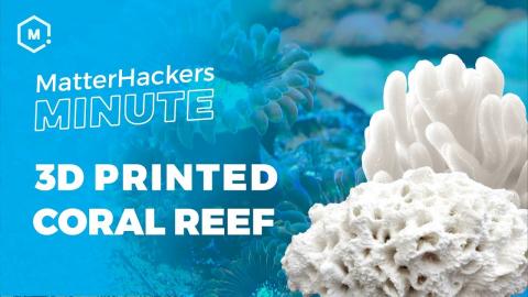 MatterHackers Minute // Using 3D Printing to Save Marine Wildlife