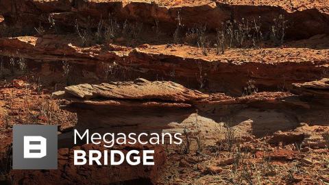 Megascans & Unity - Live Link