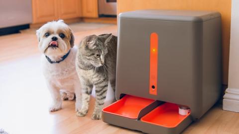 Top 5 Dog Gadgets You Should Have # 4