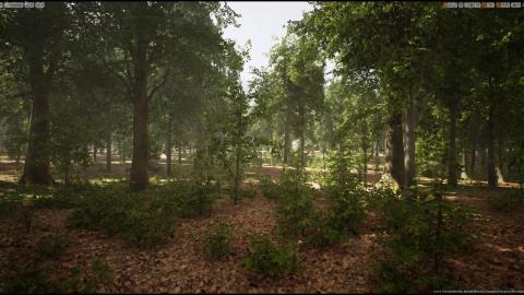 MAWI UE4 BroadleafForest Update3 02