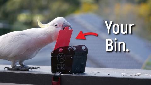 Teaching Cockatoos to Raid Rubbish Bins