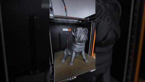 Pug Love ???? #3dprinting #pug