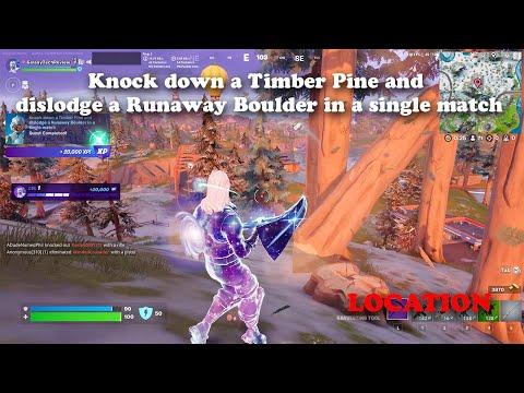 Knock down a Timber Pine and dislodge a Runaway Boulder in a single match EASY LOCATION