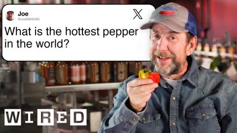 Pepper Expert Ed Currie Answers Pepper Questions From Twitter | Tech Support | WIRED