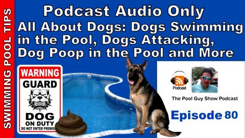 Dogs and Your Swimming Pool: Dogs that Swim, Dogs that Attack and Dog Waste in the Pool