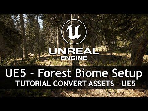 MAWI Tutorial | Unreal Engine 5 - Forest Biome Setup