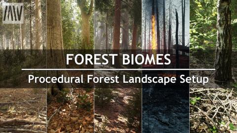 MAWI Tutorial - Forest Biomes | Procedural Forest Landscape Setup