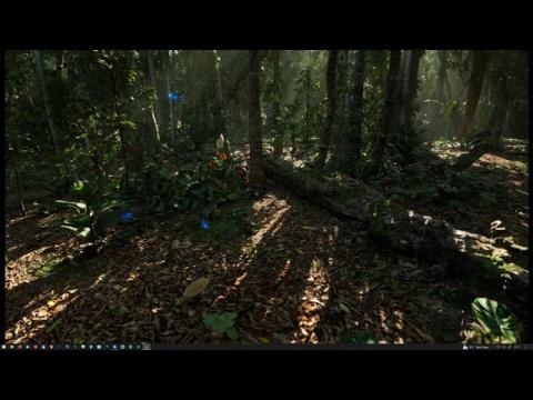 MAWI Tropical Rainforest | Unreal Engine 5.1 | Fauna Test #unrealengine #UE5 #gamedev