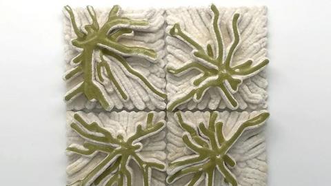 3D Printing News Unpeeled: Recoating Better and Algae Tiles