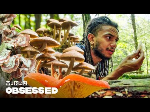 How This Mushroom Savant Identifies Fungi | Obsessed | WIRED