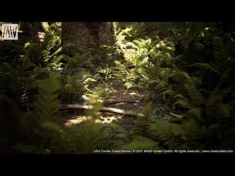 MAWI Conifer Forest Biome | CineTest