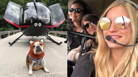 Flying with the AMAZING Helicopter Dog Bentley!
