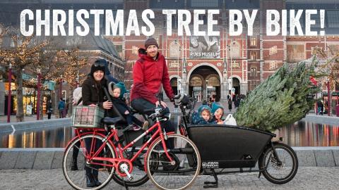 Getting our Christmas Tree by Bike in Amsterdam