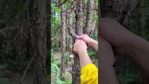 This Tool And Work Will Blow Your Mind ???????????????? #shorts #satisfying