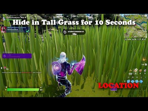 Hide in Tall Grass for 10 Seconds - Location