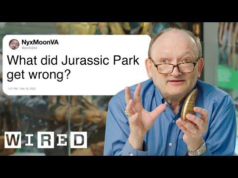 Paleontologist Answers Dinosaur Questions From Twitter | Tech Support | WIRED