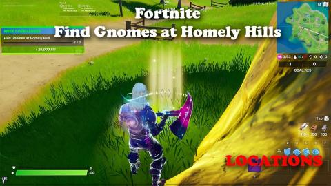 Find Gnomes at Homely Hills - Fortnite