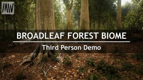 MAWI Broadleaf Forest Biome | Demo