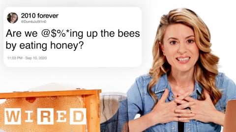 Beekeeper Answers Bee Questions From Twitter | Tech Support | WIRED