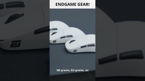 Endgame Gear's New Gaming Mouse!