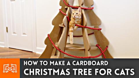 How to Make a Christmas Tree for Cats