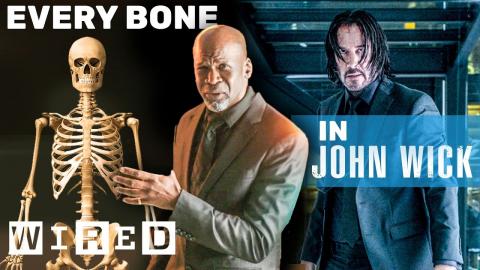 Every Bone in the Human Body and How they Break (Explained Using John Wick) | WIRED